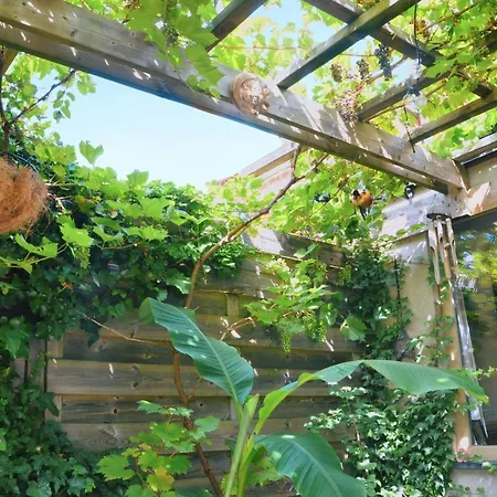 Vintage Style Botanical Home With Jacuzzi In Gent *