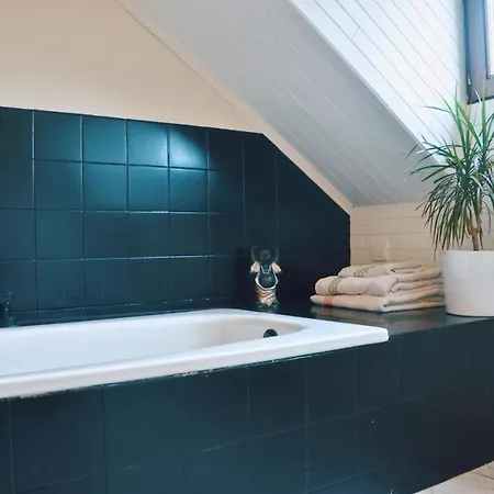 펜션 Vintage Style Botanical Home With Jacuzzi In Gent 헨트