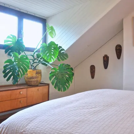 Semesterbostad Vintage Style Botanical Home With Jacuzzi In Gent Gent